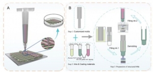 异质组织结构打印的新探索！基于挤出式同轴3D打印材料及流程的设计 ...