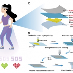 3D打印水凝胶基柔性可穿戴电致变色显示器